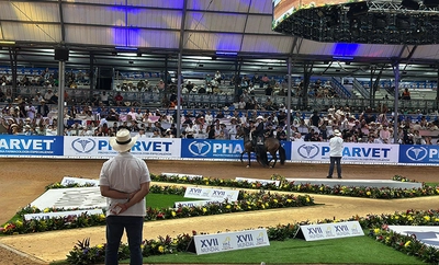 Cali sigue impulsándose como destino internacional: el ‘Mundial de Caballos de Paso’ atrajo más de 20 mil visitantes