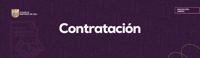 Contratación