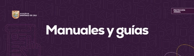 Manuales y Guías