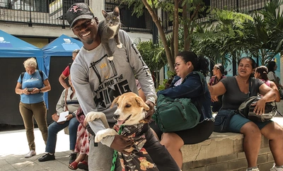 El Centro de Bienestar Animal revela las cinco enfermedades más frecuentes en las mascotas caleñas