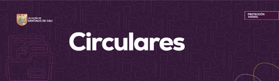 Circulares