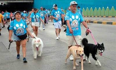 Cali caminó por la paz junto a sus peluditos: una jornada de amor, deporte y conciencia animal