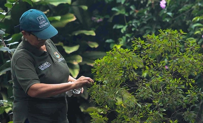 Con producción agroecológica y soluciones basadas en la naturaleza, Alcaldía impulsa el reverdecimiento de Cali