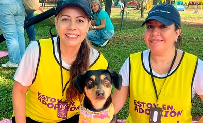 Alcaldía de Cali abre la caracterización de rescatistas, fundaciones y albergues para fortalecer la Red de Protección Animal 2025