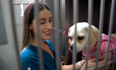Más manos para el bienestar animal: pasantes de veterinaria se  integran al CBA con apoyo de la Alcaldía de Cali