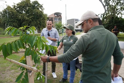 Más de 100.000 metros cuadrados de zonas verdes para uso público en este 2025