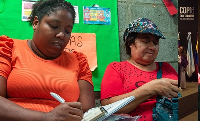 Red Aurora: el proyecto que teje oportunidades en las comunas 15, 20 y 21 de Cali