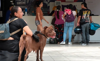 Resultados reales y operación 24/7: Uaepa y CBA reafirman su funcionamiento pleno y compromiso inquebrantable con la protección animal en Cali