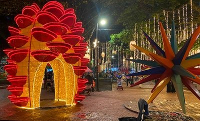 Alumbrado Navideño 2025 inicia el 7 de diciembre con un viaje mágico entre la biodiversidad y la tradición vallecaucana