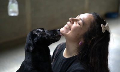 Según el CBA, 510 animales han sido adoptados en Cali durante 2025: más de 120 ‘peluditos’ todavía esperan una segunda oportunidad