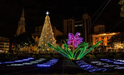 Cali recupera su brillo y orgullo con el árbol de Navidad más grande de  la ciudad, ubicado en el Parque de los Poetas