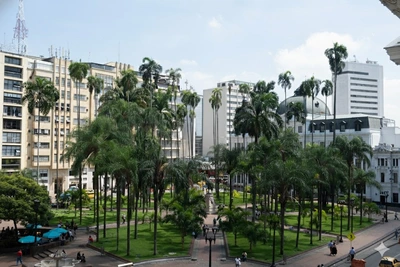 La Unidad de Bienes y Servicios avanzó en la recuperación, modernización y ordenamiento del patrimonio público de Cali