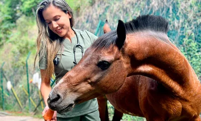 La Uaepa tiene nueva directora: se fortalece la protección animal en Cali