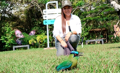 Con el retorno de aves silvestres a su hábitat natural, Cali celebra el Día Internacional de las Aves