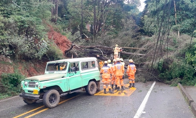 Sistema Distrital de Gestión del Riesgo activo atendiendo emergencias derivadas de las precipitaciones de las últimas horas