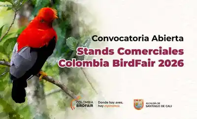 Colombia BirdFair 2026 abre convocatoria para stands comerciales en el Puente Ortiz