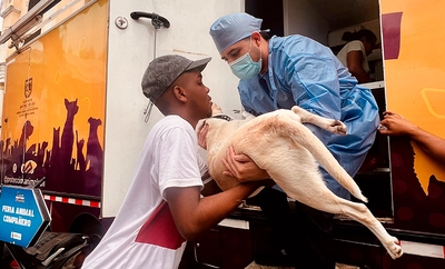 Cali retoma jornadas de esterilización extramural para fortalecer la protección animal