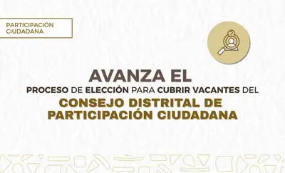 Avanza el proceso de elección para cubrir vacantes del Consejo Distrital de Participación Ciudadana