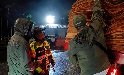 El Dagma aprehende preventivamente madera ilegal durante el primer operativo nacional de control forestal de 2026