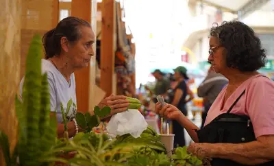 Gracias a Mercando Campesino, los caleños podrán mercar en la Plaza de Caycedo este viernes