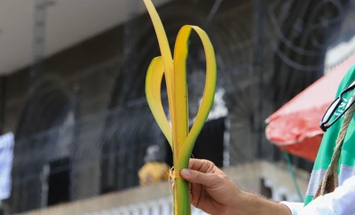 En Semana Santa, Cali le dice “sí” a la vida: el Dagma entregará más de 2000 plantas ornamentales y pide no usar palma de cera