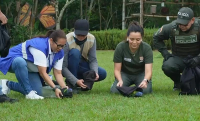 Cali conmemoró el ‘Día Mundial de la Vida Silvestre’ con la liberación de aves, reptiles y mamíferos en su hábitat natural