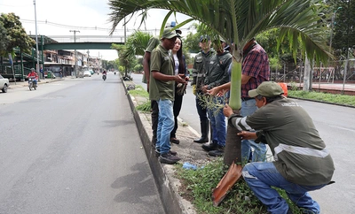 Inició la recuperación ambiental y paisajística del tramo uno en la avenida Ciudad de Cali