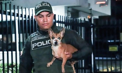 Bienestar Animal atendió denuncia ciudadana y rescata a perrita, en grave estado de salud, en conjunto residencial