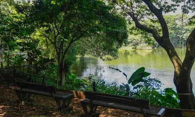 Cali presenta su hoja de ruta para proteger la biodiversidad: el 11 de marzo en YAWA