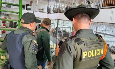 Se intensifican los operativos contra el tráfico de fauna y flora silvestre en víspera de la Semana Santa