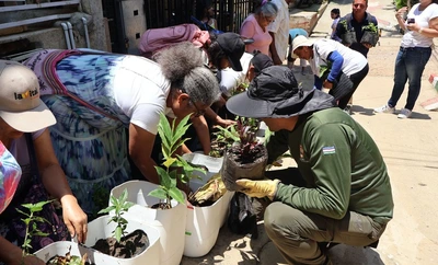 Con jardines polinizadores, la comunidad en Brisas de las Palmas busca mitigar los efectos del cambio climático