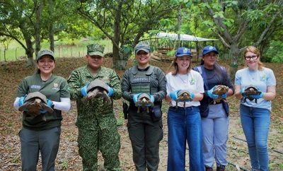 Más de 150 animales de fauna silvestre fueron liberados en zonas de reserva en Cartagena