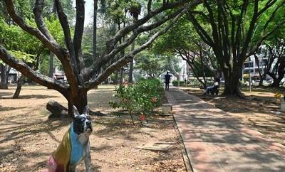 Inició la transformación integral del Parque del Perro