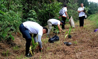Estudiantes universitarios sembraron plantas para fortalecer una barrera de protección contra incendios forestales