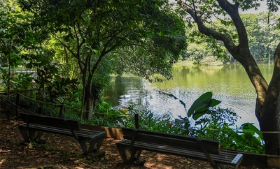 El cumpleaños de Cali florece en el Ecoparque Lago de la Garzas con una jornada ambiental para reconocer nuestra biodiversidad