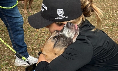 Los 490 años de Cali se celebraron con amor: 30 perros encontraron un hogar.