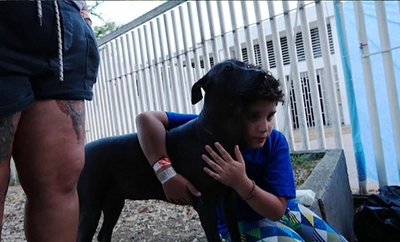 Se culmina etapa de búsqueda de animales en puntos críticos. Ahora sigue la recuperación y el reencuentro de los afectados