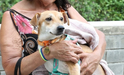 Animales recuperados del terremoto esperan a sus familias en el Centro de Bienestar
