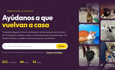 Se habilitará plataforma web para facilitar el reencuentro de animales con sus familias tras el terremoto