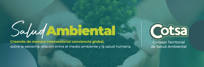 Consejo Territorial de Salud Ambiental