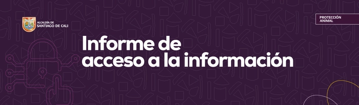 Informe de acceso a la información