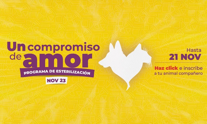 Gran jornada masiva de esterilización en Santiago de Cali: ¡Vamos por el récord nacional!