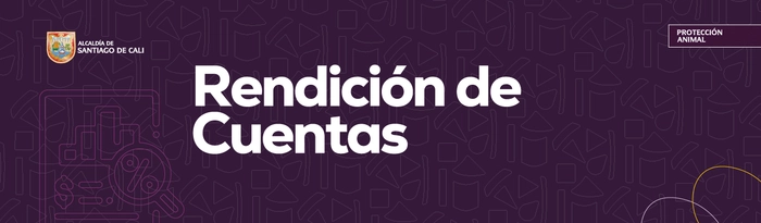 Rendición de cuentas