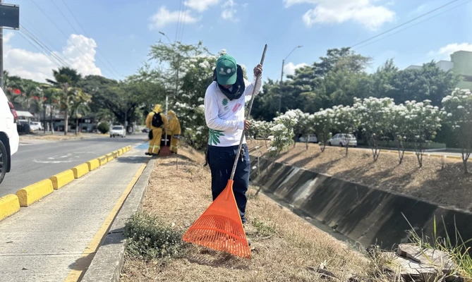 Cali florece: ‘Promotores Mi Cali Bella’ inician jornada de embellecimiento en la calle 13 entre carreras 50 y 56