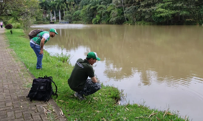 El Dagma identificó una babilla afectada por residuos sólidos en humedal al sur de Cali