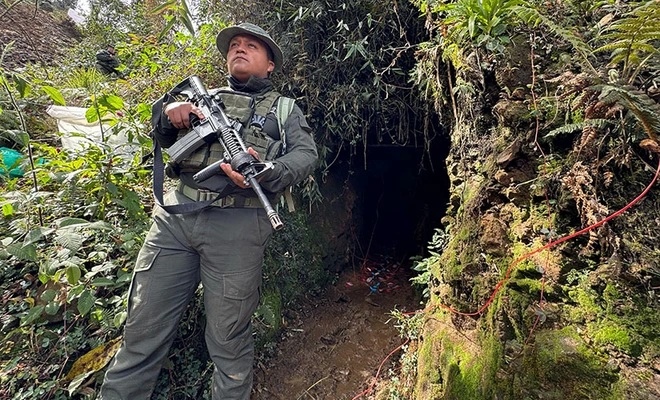 Operativos de control de autoridades y Alcaldía combaten los delitos ambientales: en Cali se recupera y protege nuestra riqueza natural