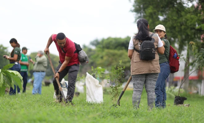 ‘Día Nacional del Árbol’: en la Comuna 15 se sembrarán más árboles por una Cali verde y sostenible