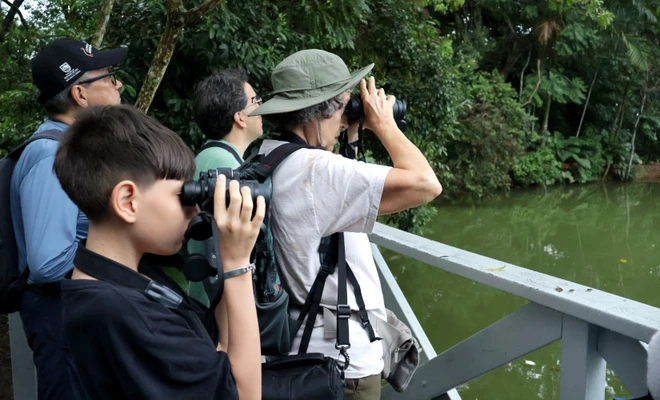 Caleños despidieron a las aves migratorias que inician su viaje al hemisferio norte