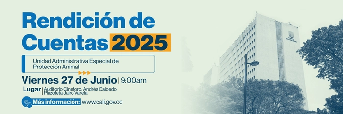 Rendición de cuentas