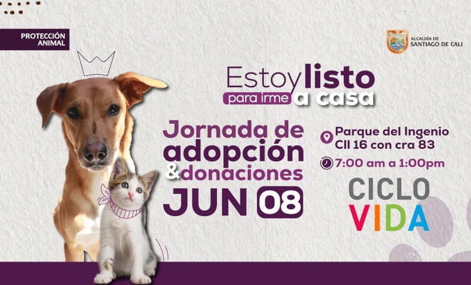 Adopta, dona y transforma vidas el 8 de junio en el Parque de El Ingenio: ‘Estoy listo para irme a casa’